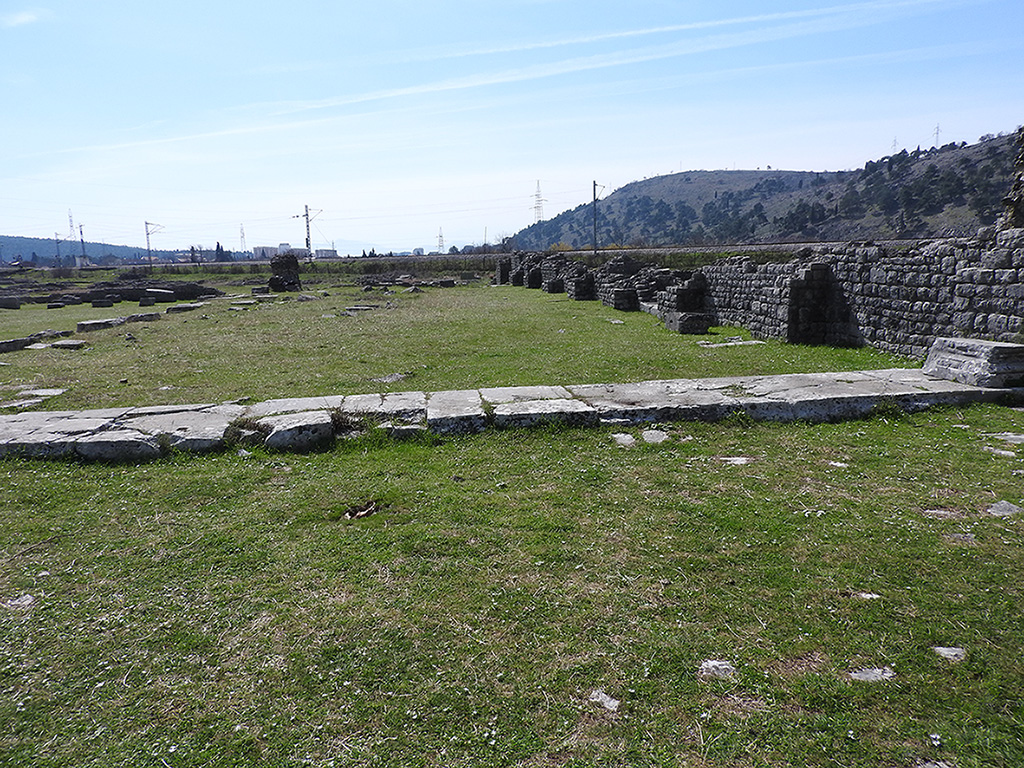 Interior view of the basilica of Doclea, where several stone pillars are still standing. These structural elements provide insight into the scale and architecture of the building.