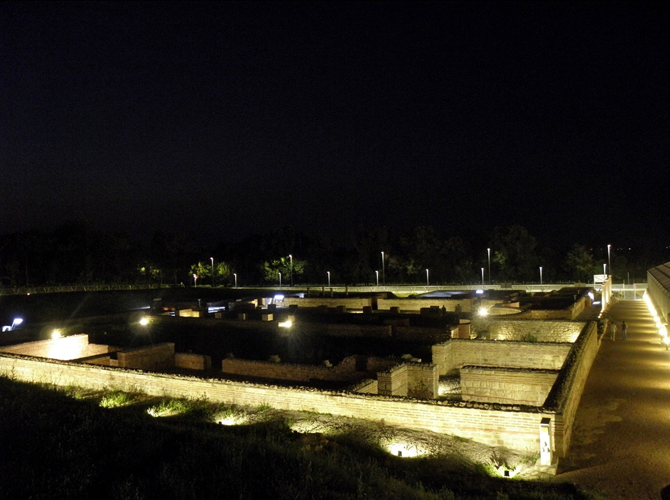 Une image contenant plein air, ciel, nuit, arbre Description générée automatiquement